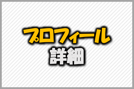 利用マニュアル プロフィール 詳細設定 プラグインレイアウトと各設定 Wox